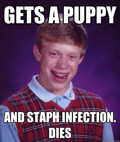 gets a puppy and staph infection.
dies - gets a puppy and staph infection.
dies  Bad Luck Brian