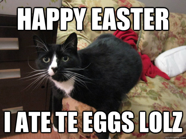 Happy easter I ate te eggs lolz - Happy easter I ate te eggs lolz  Misc