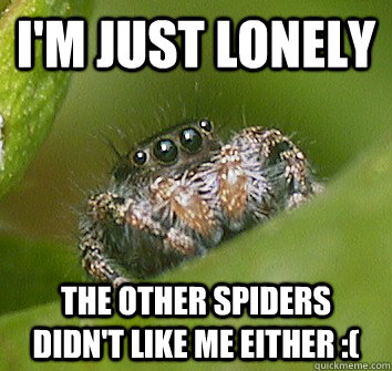 I'm just lonely  The other spiders didn't like me either :(  Misunderstood Spider