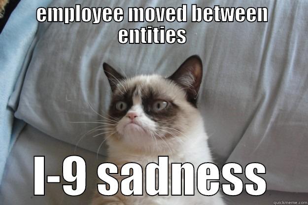 boo I-9s - EMPLOYEE MOVED BETWEEN ENTITIES I-9 SADNESS Grumpy Cat