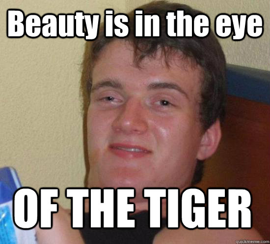 Beauty is in the eye OF THE TIGER  10 Guy