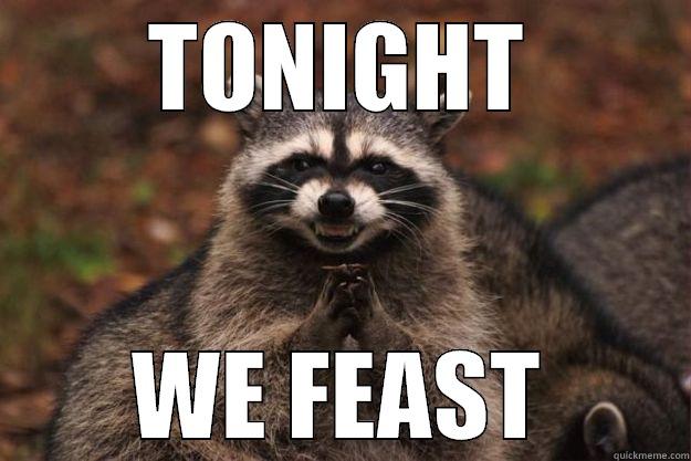 TONIGHT WE FEAST Evil Plotting Raccoon