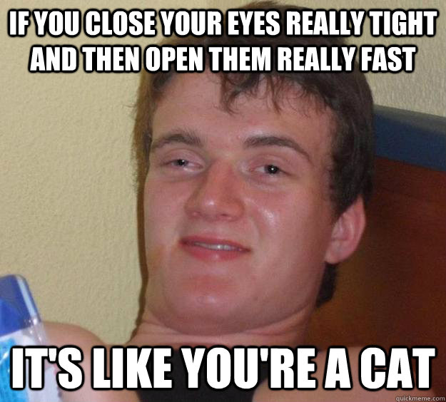 if you close your eyes really tight and then open them really fast it's like you're a cat  10 Guy