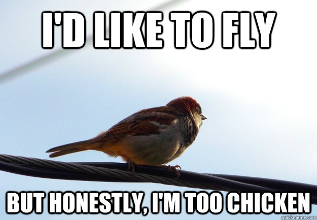 I'd like to fly But honestly, I'm too chicken  Horizon Bird