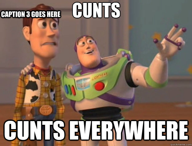 Cunts cunts everywhere Caption 3 goes here  Toy Story