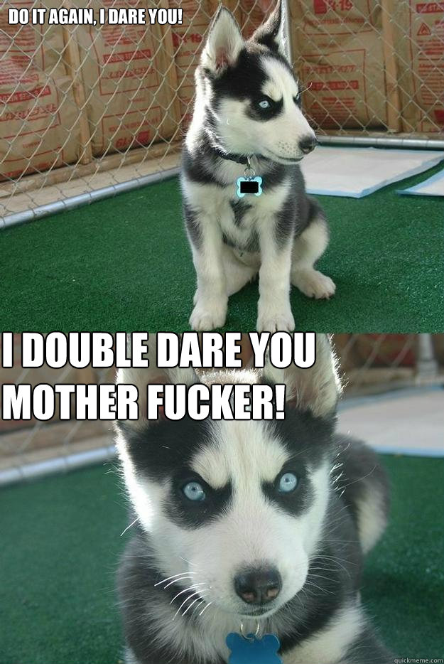 Do it again, i dare you! I DOUBLE DARE YOU MOTHER FUCKER!  Insanity puppy