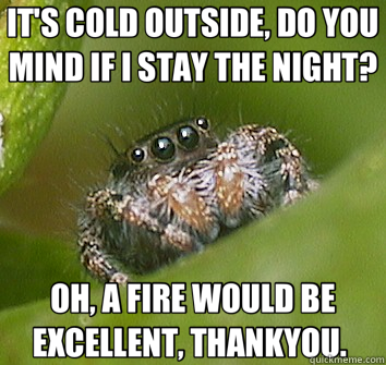 IT'S COLD OUTSIDE, DO YOU MIND IF I STAY THE NIGHT? OH, A FIRE WOULD BE EXCELLENT, THANKYOU.   Misunderstood Spider