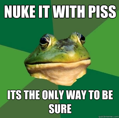 Nuke it with piss Its the only way to be sure - Nuke it with piss Its the only way to be sure  Foul Bachelor Frog