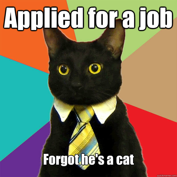 Applied for a job Forgot he's a cat  Business Cat