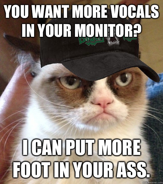 You want more vocals in your monitor? I can put more foot in your ass.   