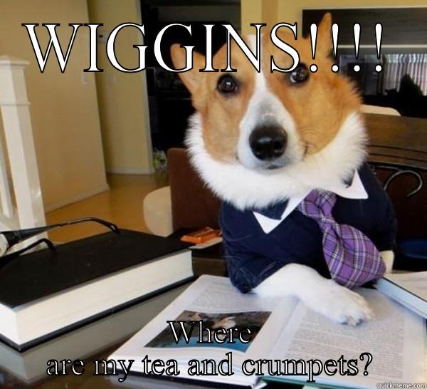 WIGGINS!!!! WHERE ARE MY TEA AND CRUMPETS? Lawyer Dog