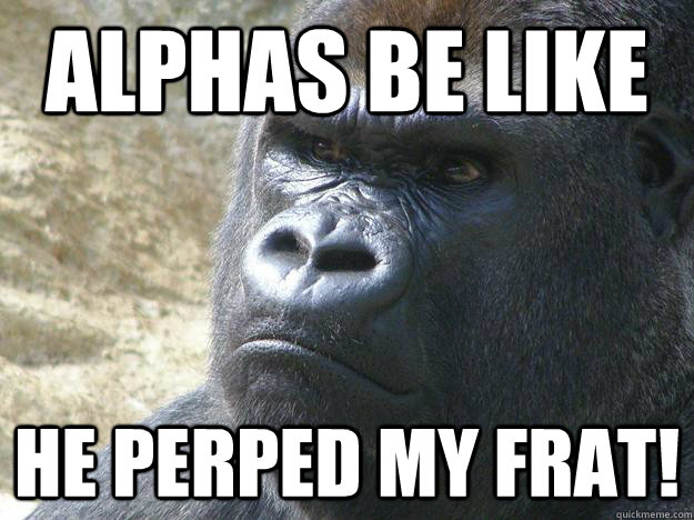 alphas be like he perped my frat!  