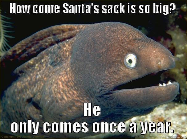 Santa's Sack - HOW COME SANTA'S SACK IS SO BIG? HE ONLY COMES ONCE A YEAR. Bad Joke Eel