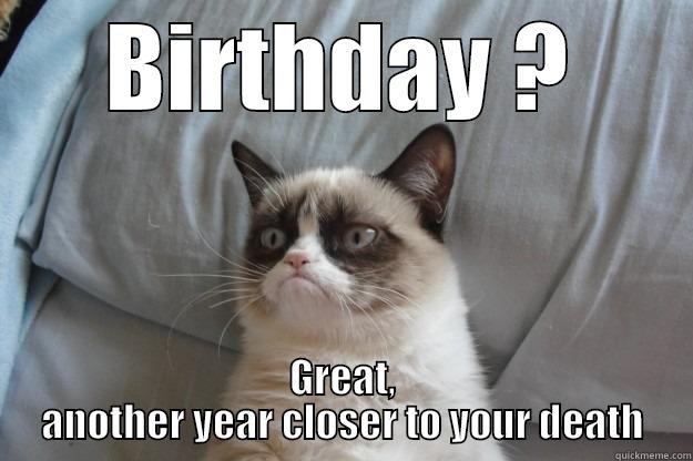 BIRTHDAY ? GREAT, ANOTHER YEAR CLOSER TO YOUR DEATH Grumpy Cat