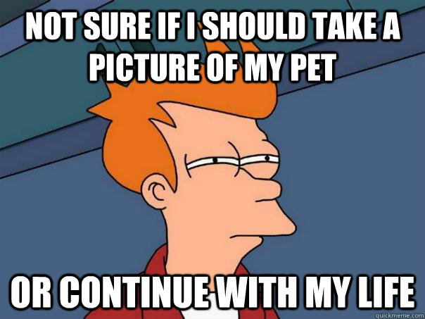 Not sure if I should take a picture of my pet Or continue with my life  Futurama Fry