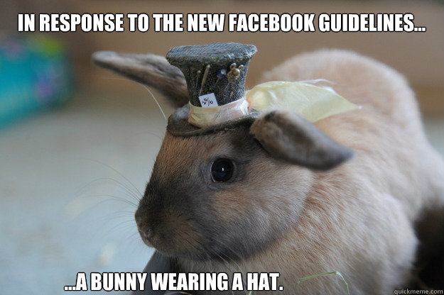 In response to the new facebook guidelines... ...A bunny wearing a hat.  facebook bunny