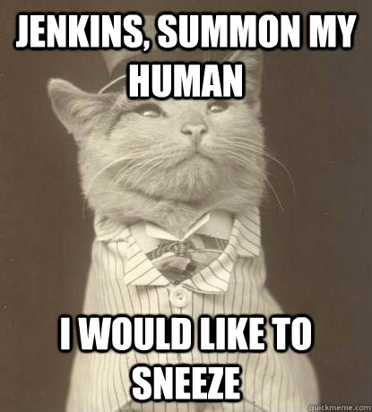 Jenkins, summon my human i would like to sneeze  Aristocat