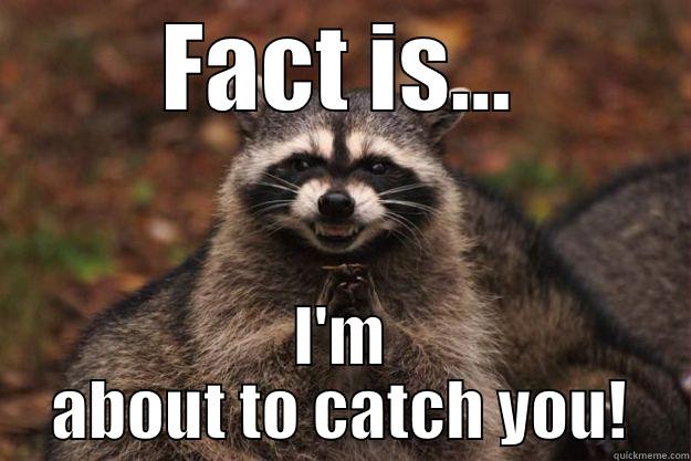 FACT IS... I'M ABOUT TO CATCH YOU! Evil Plotting Raccoon