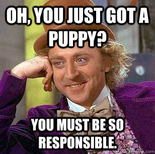 Oh, you just got a puppy? You must be so responsible.  Condescending Wonka