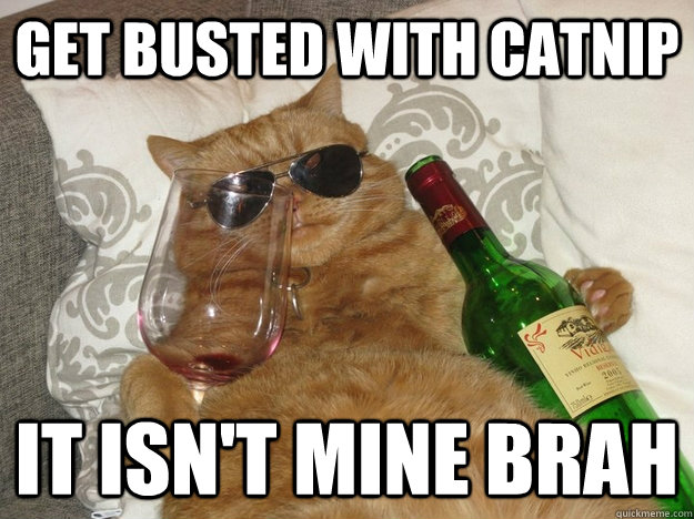 get busted with catnip it isn't mine brah  