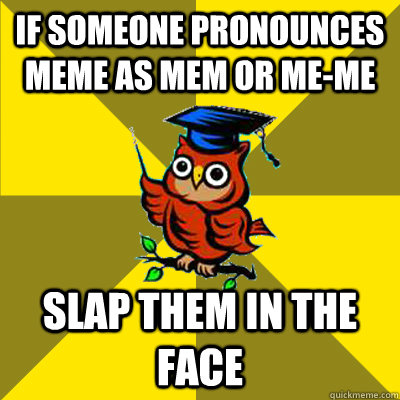 If someone pronounces meme as mem or me-me slap them in the face  Observational Owl