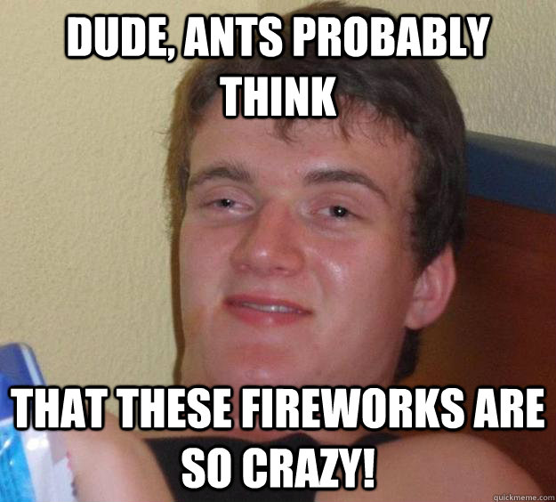 Dude, Ants probably think that these fireworks are so crazy!  10 Guy