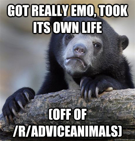 got really emo, took its own life (off of /r/AdviceAnimals)  Confession Bear