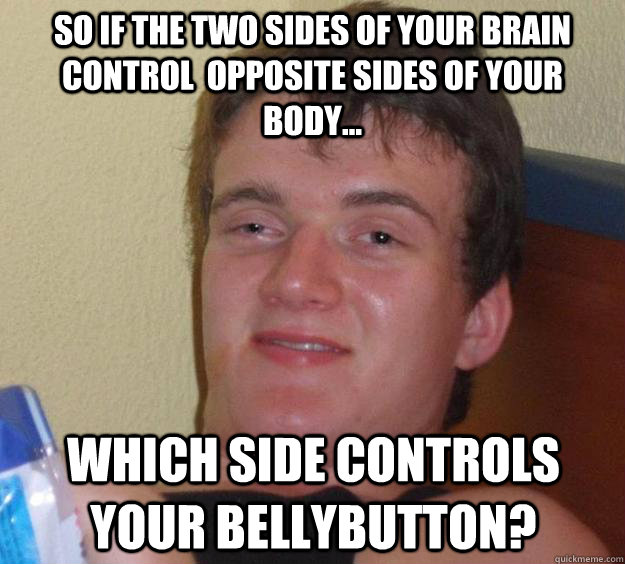 So if the two sides of your brain control  opposite sides of your body... which side controls your bellybutton? - So if the two sides of your brain control  opposite sides of your body... which side controls your bellybutton?  10 Guy