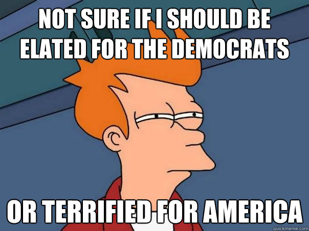 Not sure if I should be elated for the Democrats Or terrified for America  Futurama Fry