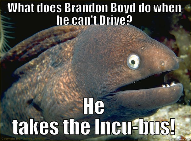 WHAT DOES BRANDON BOYD DO WHEN HE CAN'T DRIVE? HE TAKES THE INCU-BUS! Bad Joke Eel