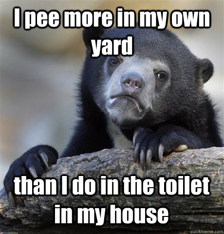 I pee more in my own yard than I do in the toilet in my house  Confession Bear