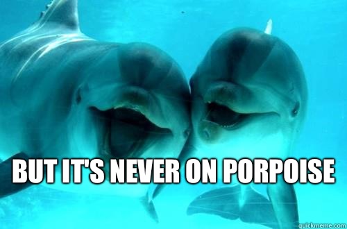  But it's never on porpoise    Dick Dolphins