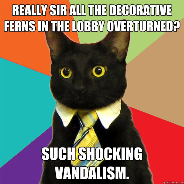 Really sir all the decorative ferns in the lobby overturned? Such shocking vandalism.  Business Cat