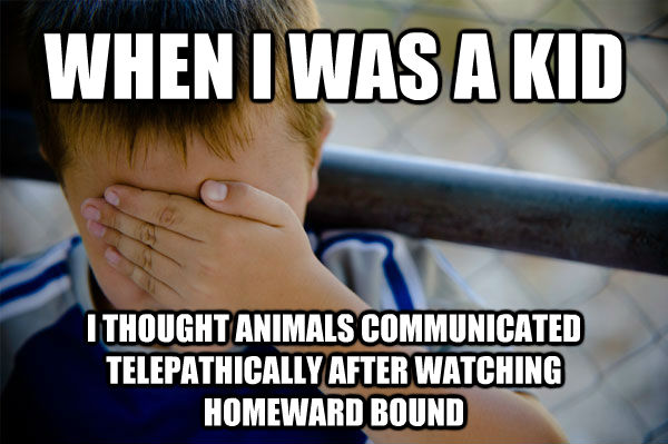 WHEN I WAS A KID I THOUGHT ANIMALS COMMUNICATED TELEPATHICALLY AFTER WATCHING  HOMEWARD BOUND  Confession kid