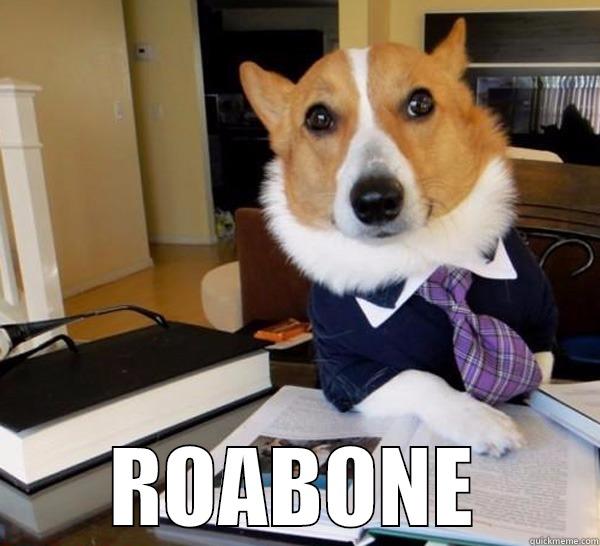 funny dog at  -  ROABONE Lawyer Dog