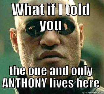 rgrgrgr rrr - WHAT IF I TOLD YOU THE ONE AND ONLY ANTHONY LIVES HERE Matrix Morpheus