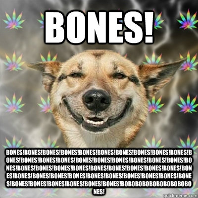 BONES! BONES!BONES!BONES!BONES!BONES!BONES!BONES!BONES!BONES!BONES!BONES!BONES!BONES!BONES!BONES!BONES!BONES!BONES!BONES!BONES!BONES!BONES!BONES!BONES!BONES!BONES!BONES!BONES!BONES!BONES!BONES!BONES!BONES!BONES!BONES!BONES!BONES!BONES!BONES!BONES!BONES!BO  Stoner Dog