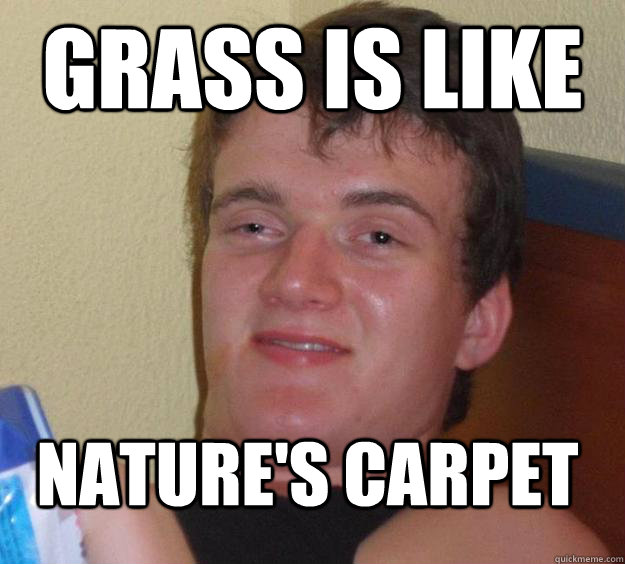 Grass is like nature's carpet  10 Guy