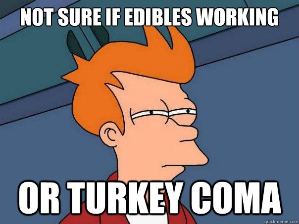 NoT SURE IF EDIBLES WORKING or turkey coma - NoT SURE IF EDIBLES WORKING or turkey coma  Futurama Fry