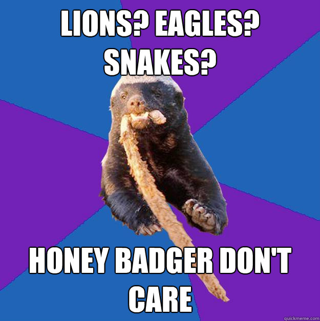 Lions? Eagles? Snakes? Honey Badger Don't Care  Honey Badger Dont Care