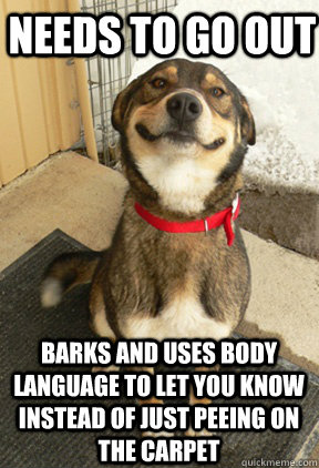 Needs to go out barks and uses body language to let you know instead of just peeing on the carpet - Needs to go out barks and uses body language to let you know instead of just peeing on the carpet  Good Dog Greg