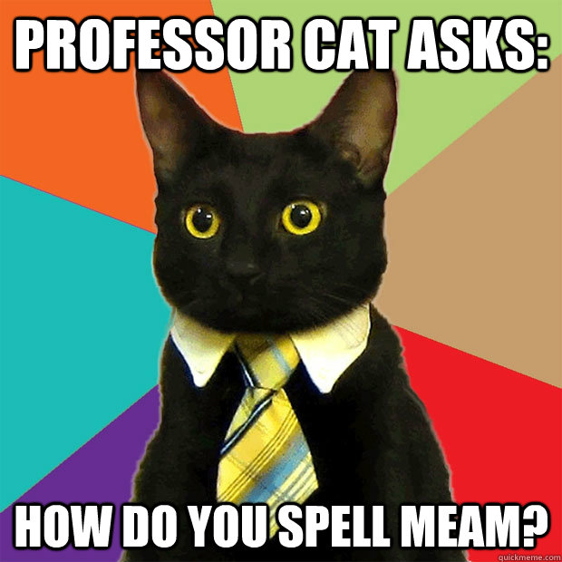 Professor cat asks: how do you spell meam?  Business Cat