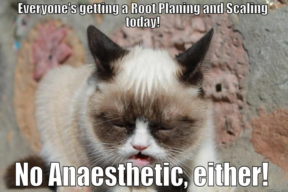 EVERYONE'S GETTING A ROOT PLANING AND SCALING TODAY! NO ANAESTHETIC, EITHER! Misc