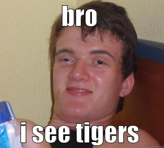 nigga be like - BRO I SEE TIGERS 10 Guy