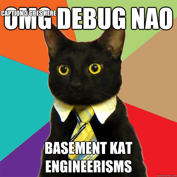 OMG debug NAO basement kat engineerisms Caption 3 goes here  Business Cat