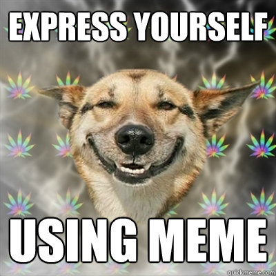 express yourself using meme  Stoner Dog