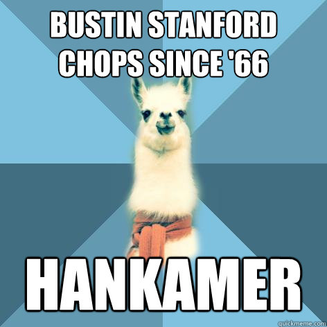 bustin stanford chops since '66 Hankamer  Linguist Llama
