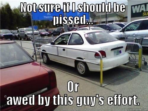 Parking Expert - NOT SURE IF I SHOULD BE PISSED... OR AWED BY THIS GUY'S EFFORT. Misc