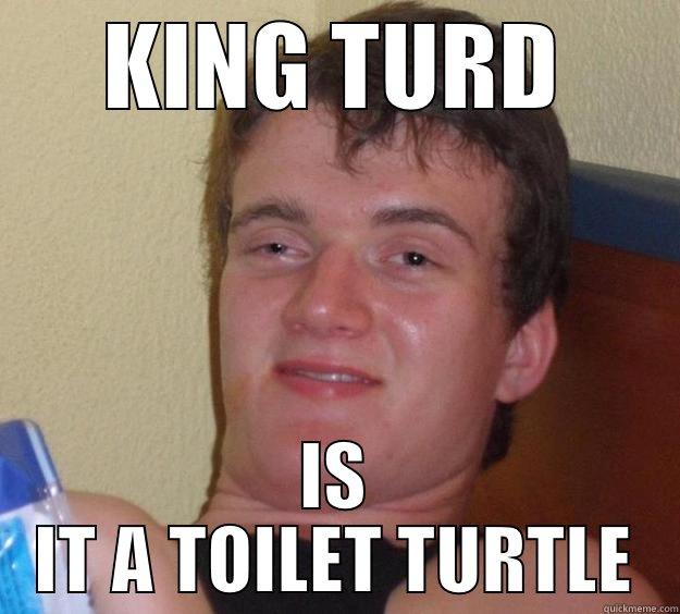 my friends turtle pic - KING TURD IS IT A TOILET TURTLE 10 Guy