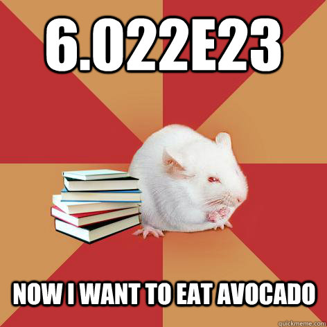 6.022E23 Now I want to eat avocado - 6.022E23 Now I want to eat avocado  Science Major Mouse